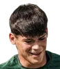 28dc76e8dec04f464ae2bc0a0d1943c7.webp