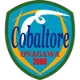 Cobaltore Onagawa