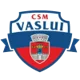 CSSM Vaslui