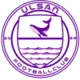 /images/football/team/1c972c717885301c9ee2503774af5a40.webp!h80