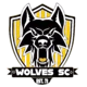 Wolves Sports Club