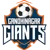 Gandhinagar Giants