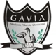 Gavia Choszczno