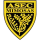 Asec Mimosas Women