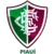 Fluminense PI Youth