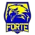 Forte FC