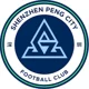 Shenzhen Peng City U17