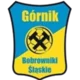 Gornik Bobrowniki Slanskie