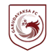 /images/football/team/627964421ebbcb1482022aa84abeb0f4.webp!h80