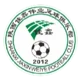 Shaanxi Jiaxin Weiye Football FC