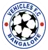 Vehicles FC