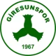 Giresunspor U19