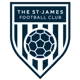 /images/football/team/7ebf56733a02c3574952988604ad0bbc.webp!h80