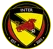 Inter Taoyuan FC