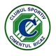 Cimentul Bicaz