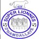 Super Lionnes Women