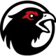/images/football/team/9df4ec1ddf6297416e272f6b02d46818.webp!h80