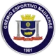 /images/football/team/a423db17eb5555413598b4767ea63205.webp!h80