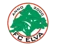 FC Elva Women