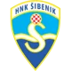/images/football/team/a9405f7631e0c62741f790e41f1eeb55.webp!h80