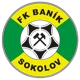 Banik Sokolov B