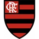 CR Flamengo (RJ)  Youth