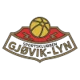 /images/football/team/b3981ca8cc5551c49b0c9fc2040f0f81.webp!h80