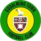 Godalming Town