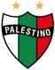 Palestino Women