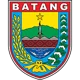 Persibat Batang