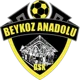 Beykoz Anadoluspor U19