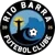Rio Barra