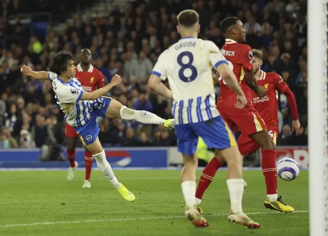 Brighton vùng lên mãnh liệt