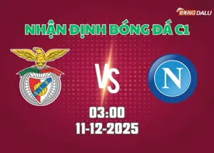 Nhận định bóng đá Benfica vs Napoli 03h00 ngày 11/12